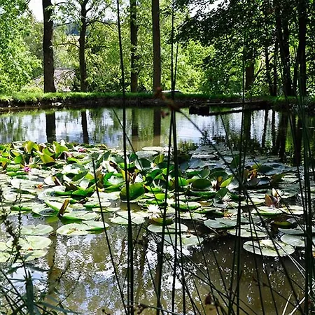 Landhausgarten Bunzmann