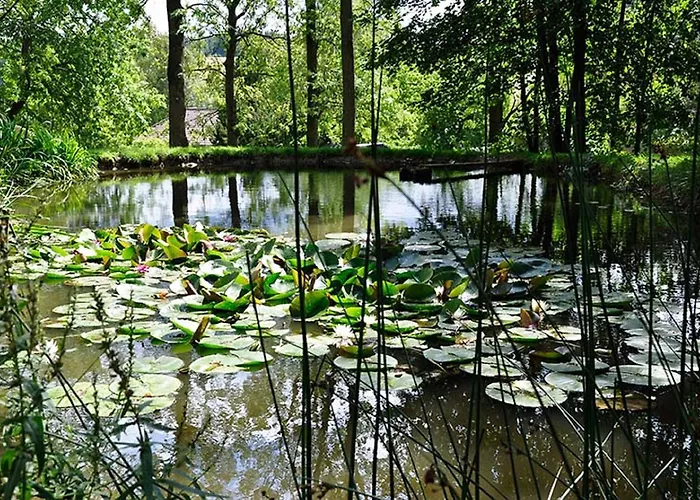 Landhausgarten Bunzmann
